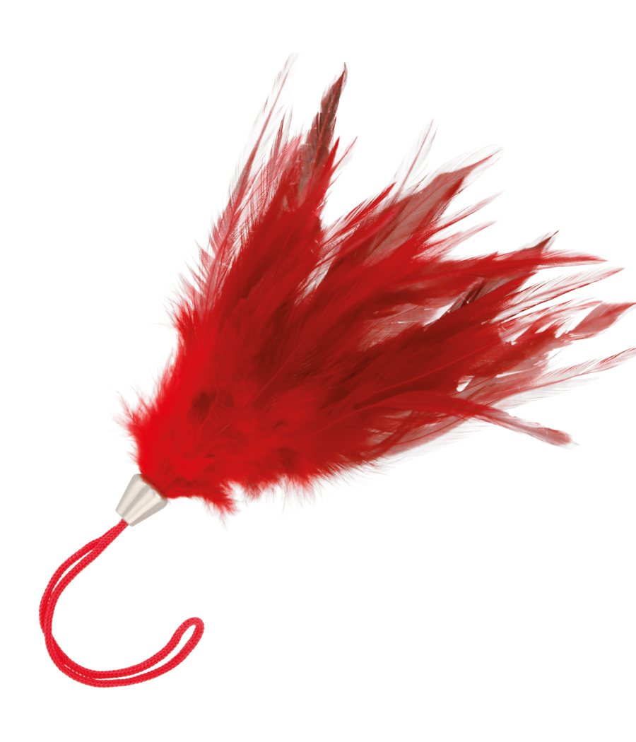 DARKNESS - PLUMA ESTIMULADORA ROJO 17CM