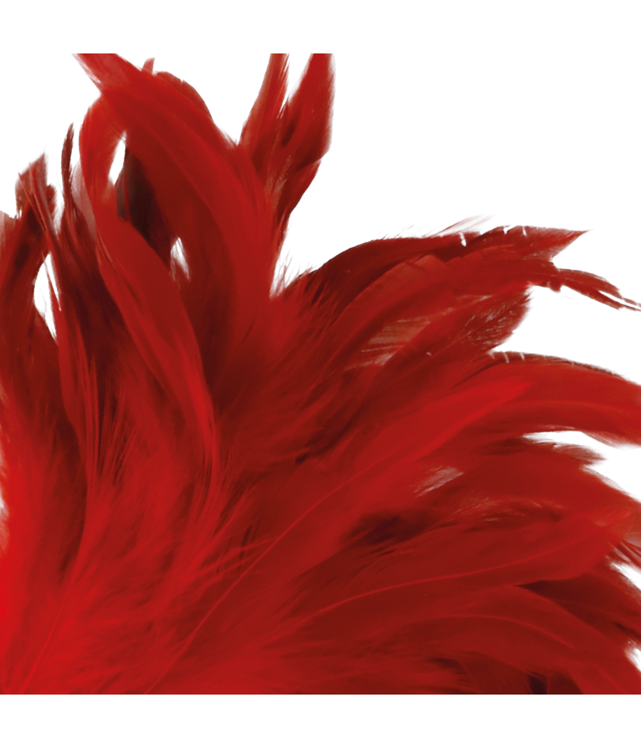 DARKNESS - CANETA ESTIMULANTE VERMELHA 24CM