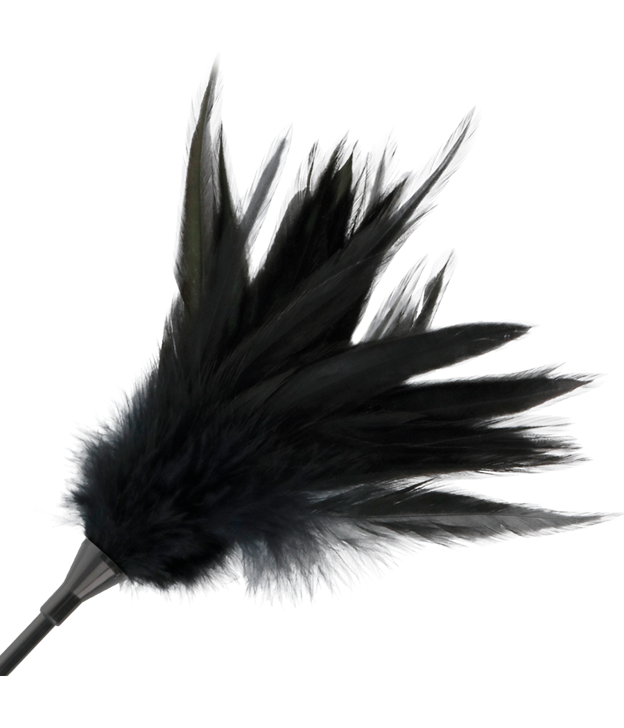 DARKNESS - FUSTA CON PLUMA NEGRO