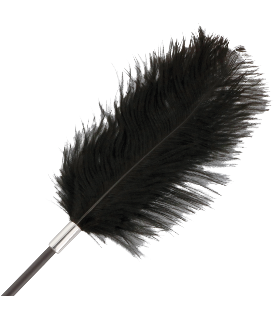 DARKNESS - SCHWARZE LIEBESFEDER-PEISTE 56 CM