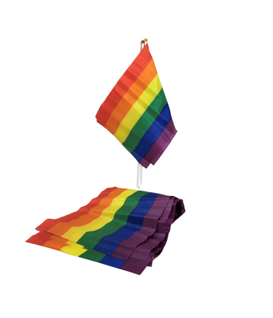 PRIDE - LGBT FLAG SMALL FLAG BANNER