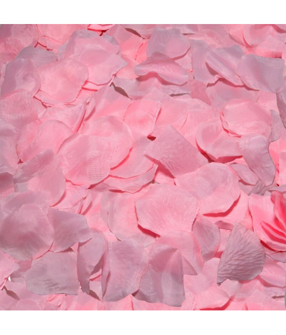 DIABLO PICANTE - 100 PÉTALES ROSES