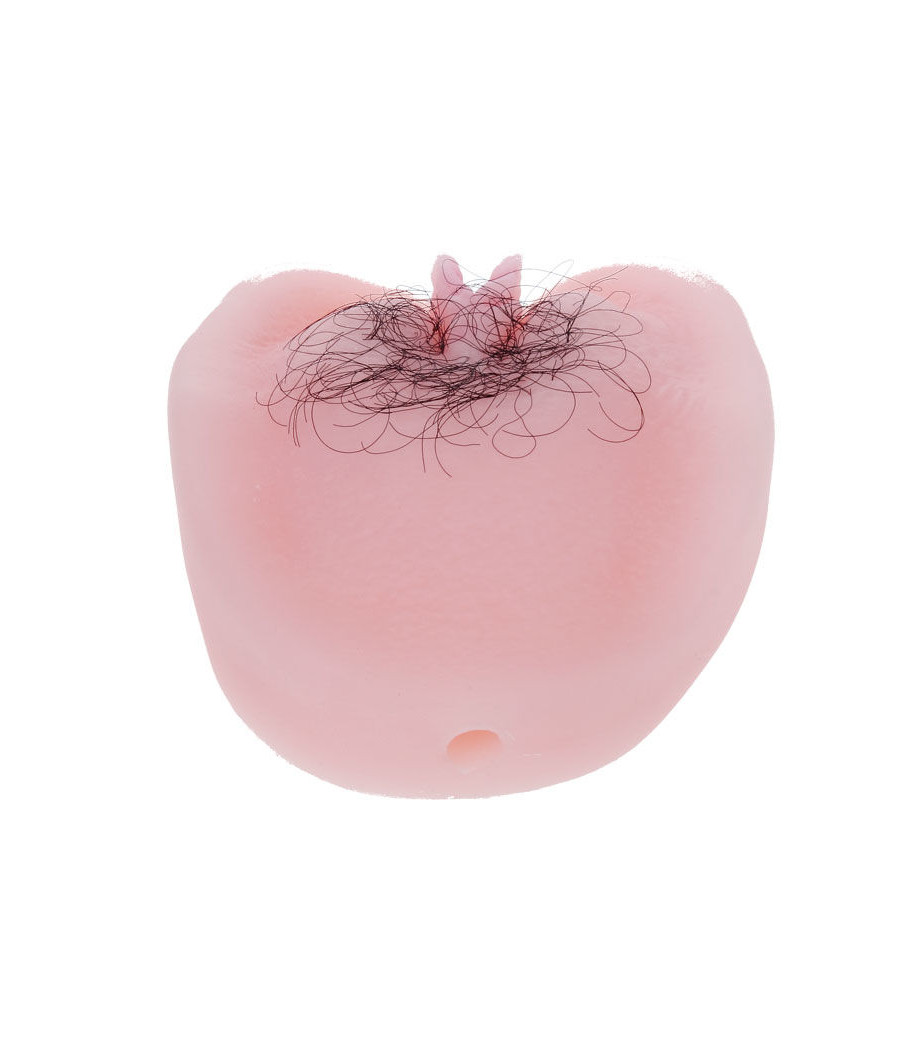 BAILE - ANTHEA MAGIC FLESH VIBRATON BUCETA