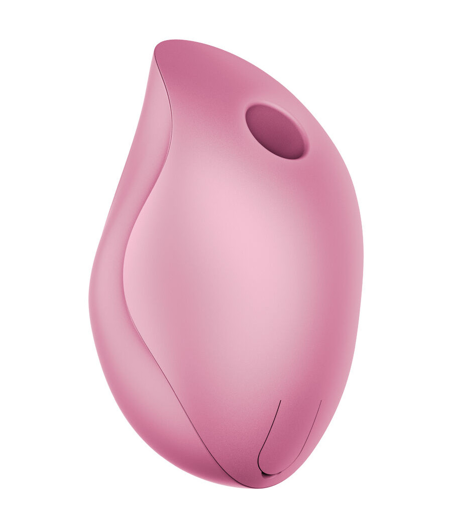FUN FACTORY - DELICIA AIR PULSE VIBRATOR ROSE