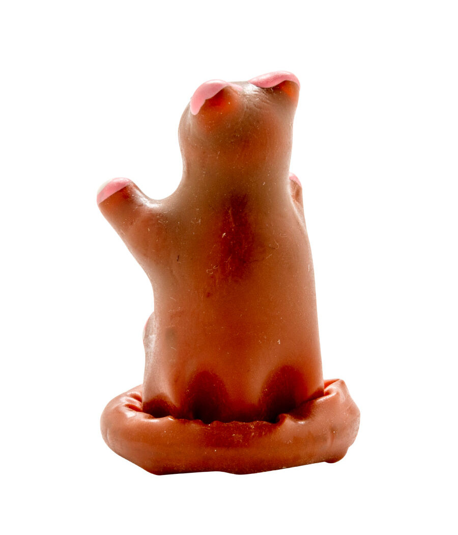 CONDOMERIE - HANDPAINTED NOVELTY CONDOMS TEDDY BEAR