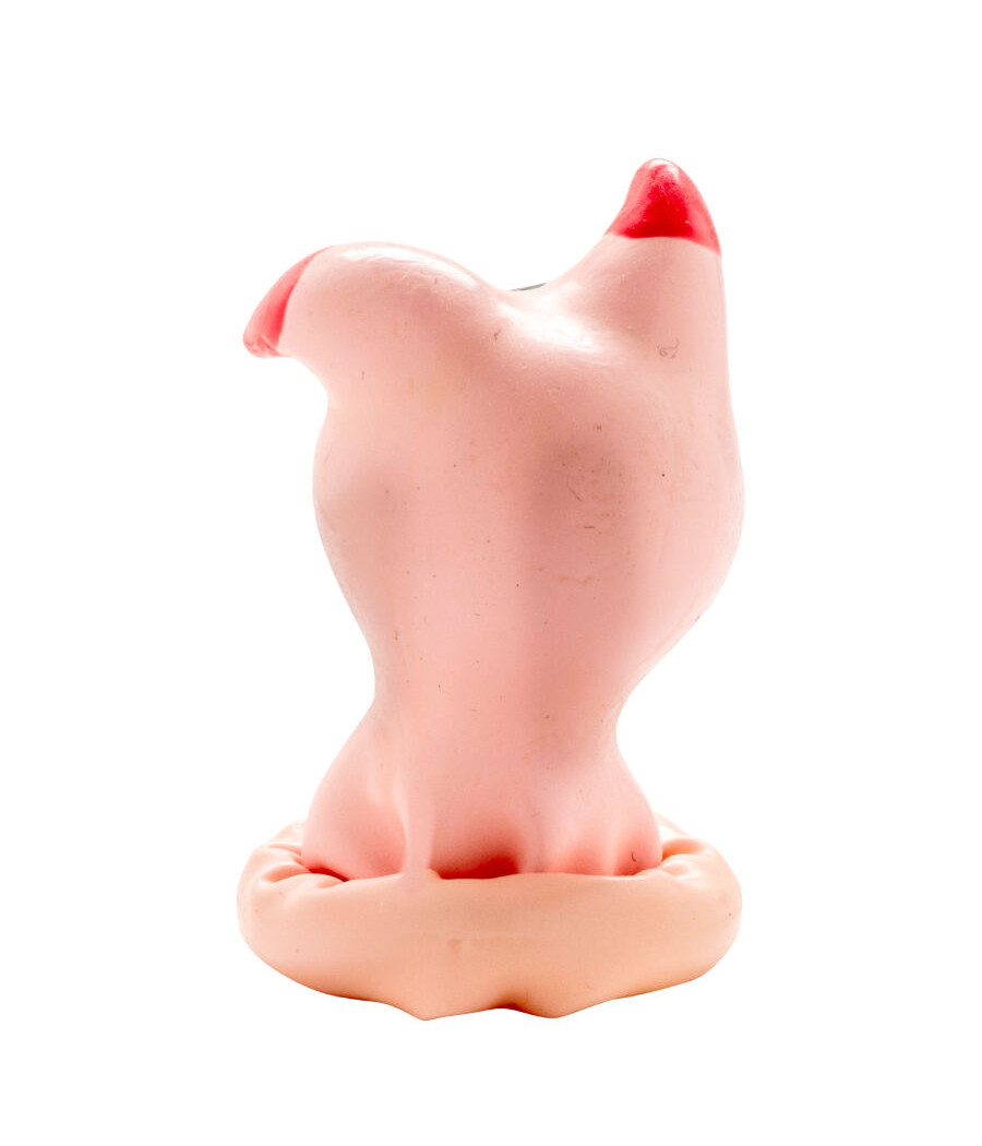 CONDOMERIE - PRÉSERVATIFS FANTAISIE PEINTS À LA MAIN TÊTE DE COCHON