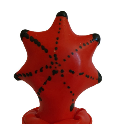 CONDOMERIE - HANDPAINTED NOVELTY CONDOMS STARFISH