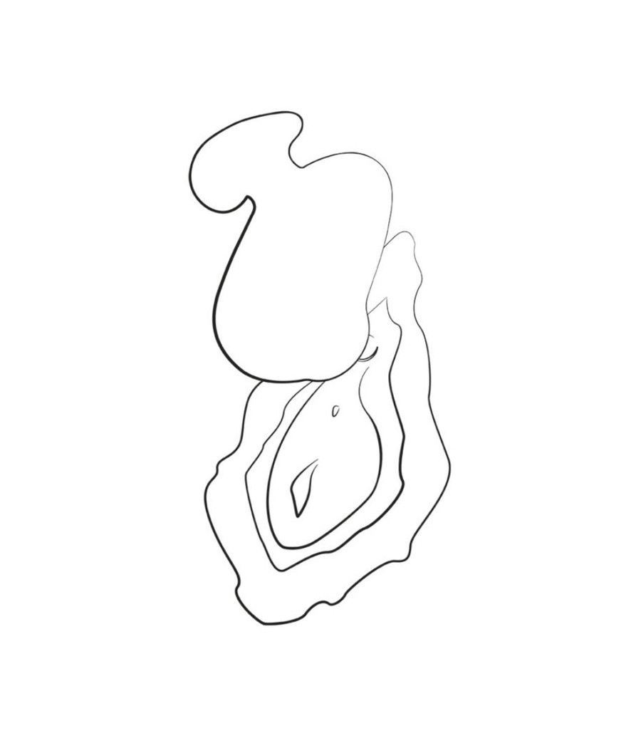 ROMP - KISS VIBRADOR DE DEDO RECARREGÁVEL COM SUCÇÃO CLITÓRICA