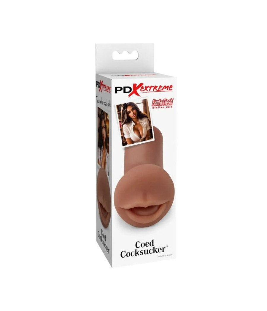 PDX EXTREME - MASTURBADOR COED COCKSUCKER