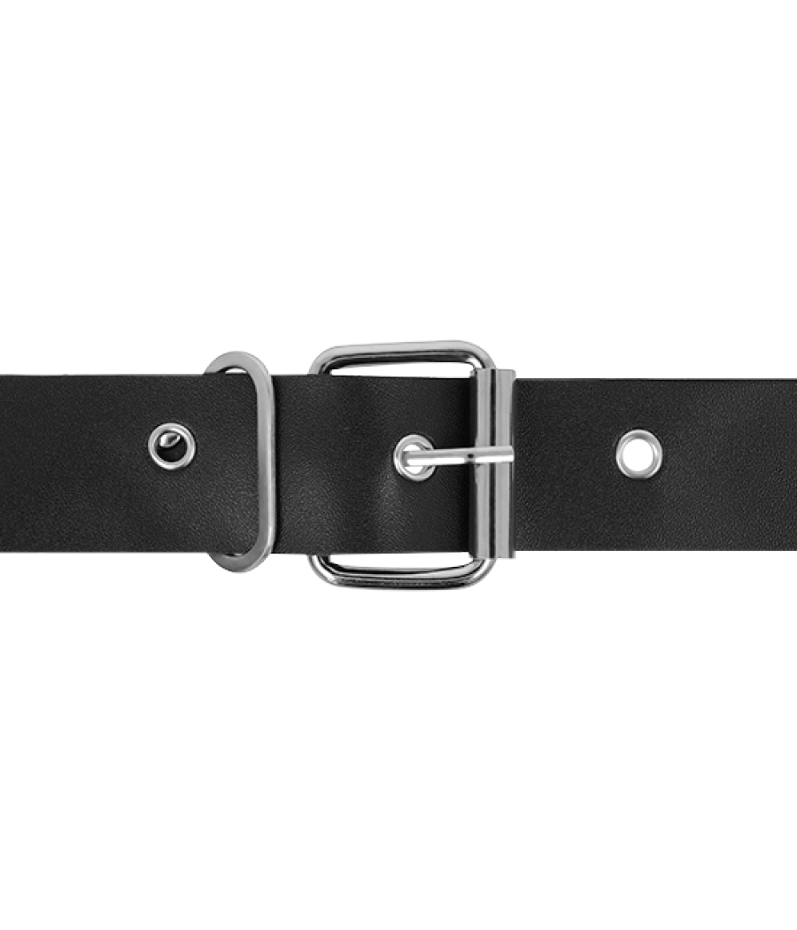 HARNESS ATTRACTION - RNES TAYLOR DELUXE 18 CM -O- 4.5 CM