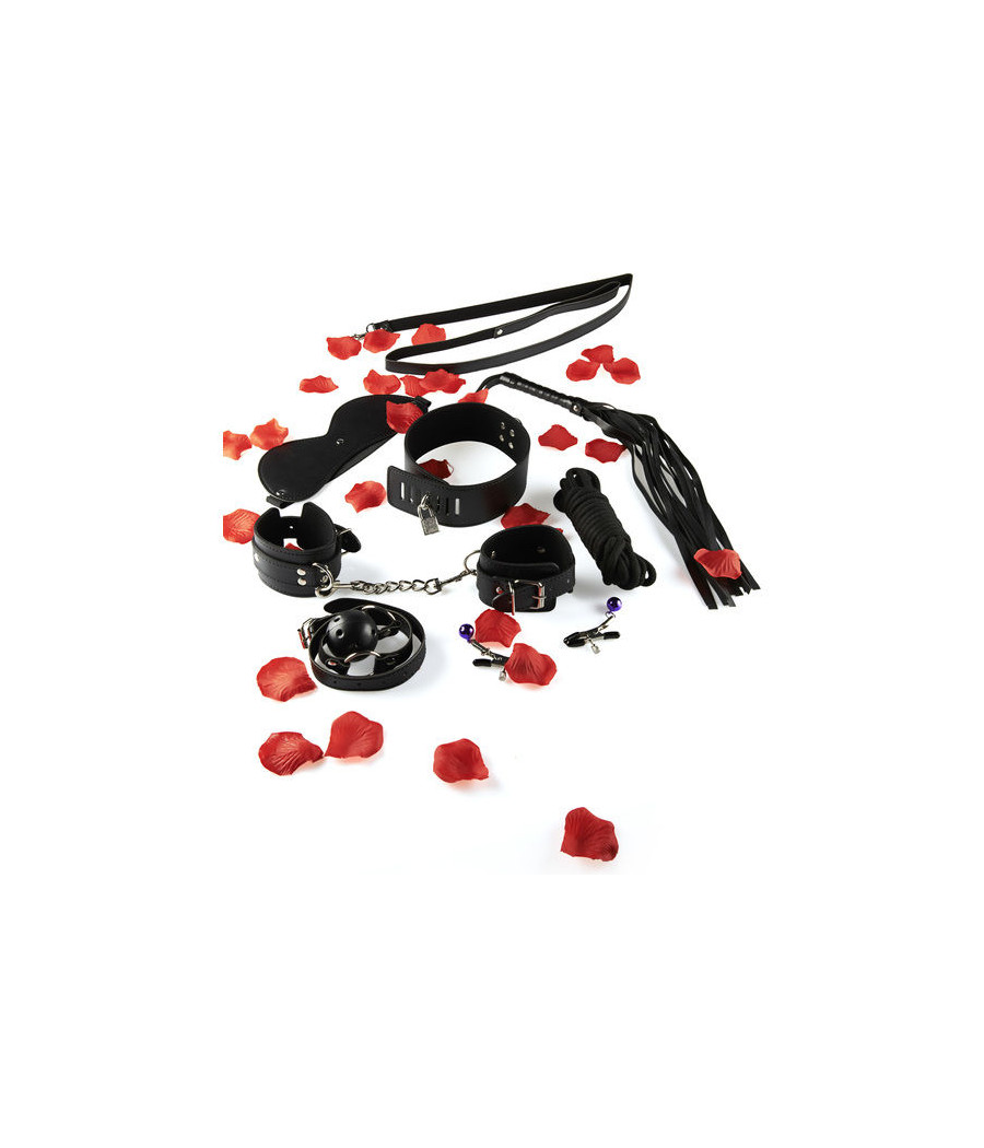 TOYJOY - FANTASTISCHES BONDAGE-SEXSPIELZEUG-KIT
