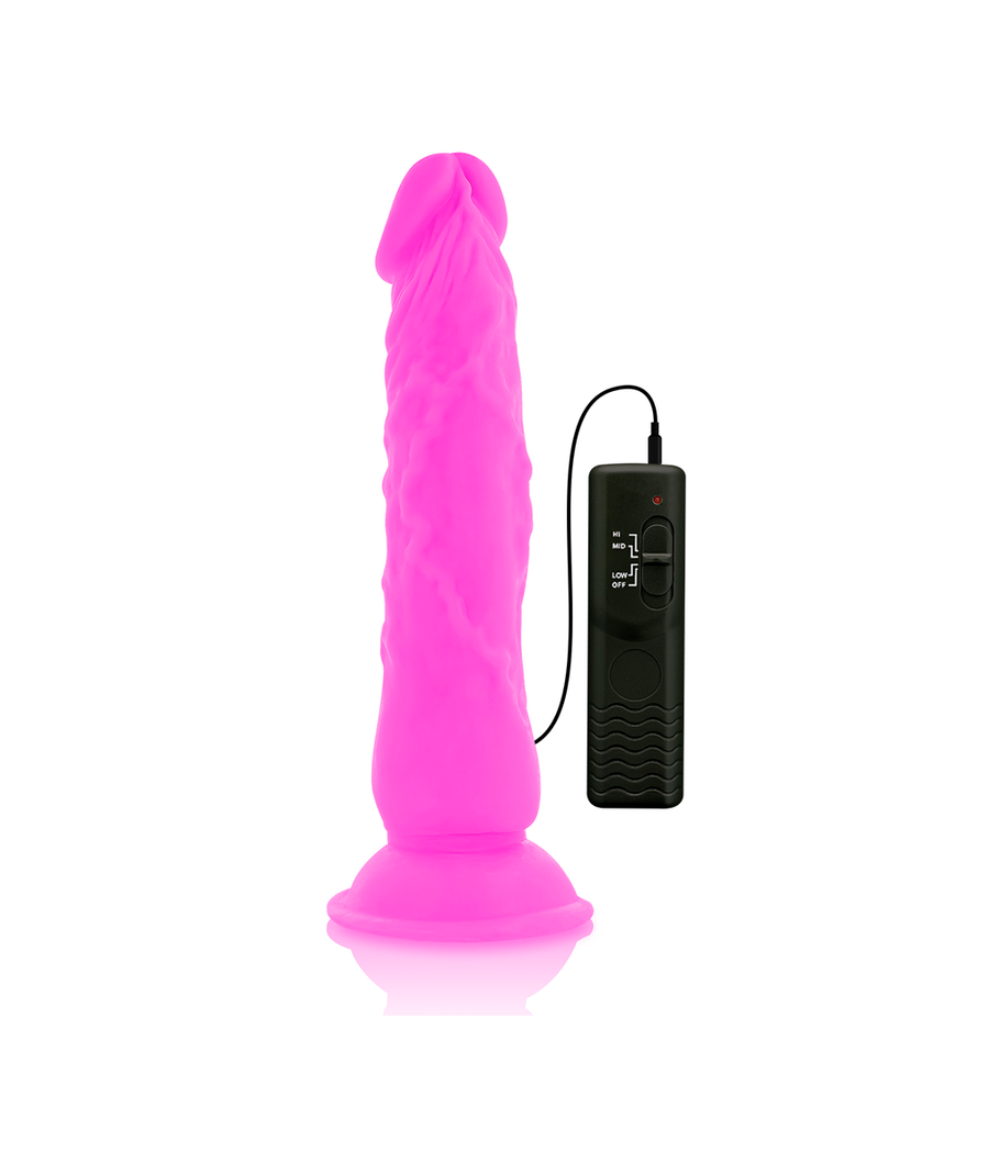 DIVERSIA - DILDO VIBRANTE FLESSIBILE VIOLA 21 CM -O- 4.9 CM